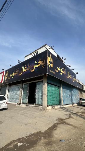 عکس پخش زغال ققنوس