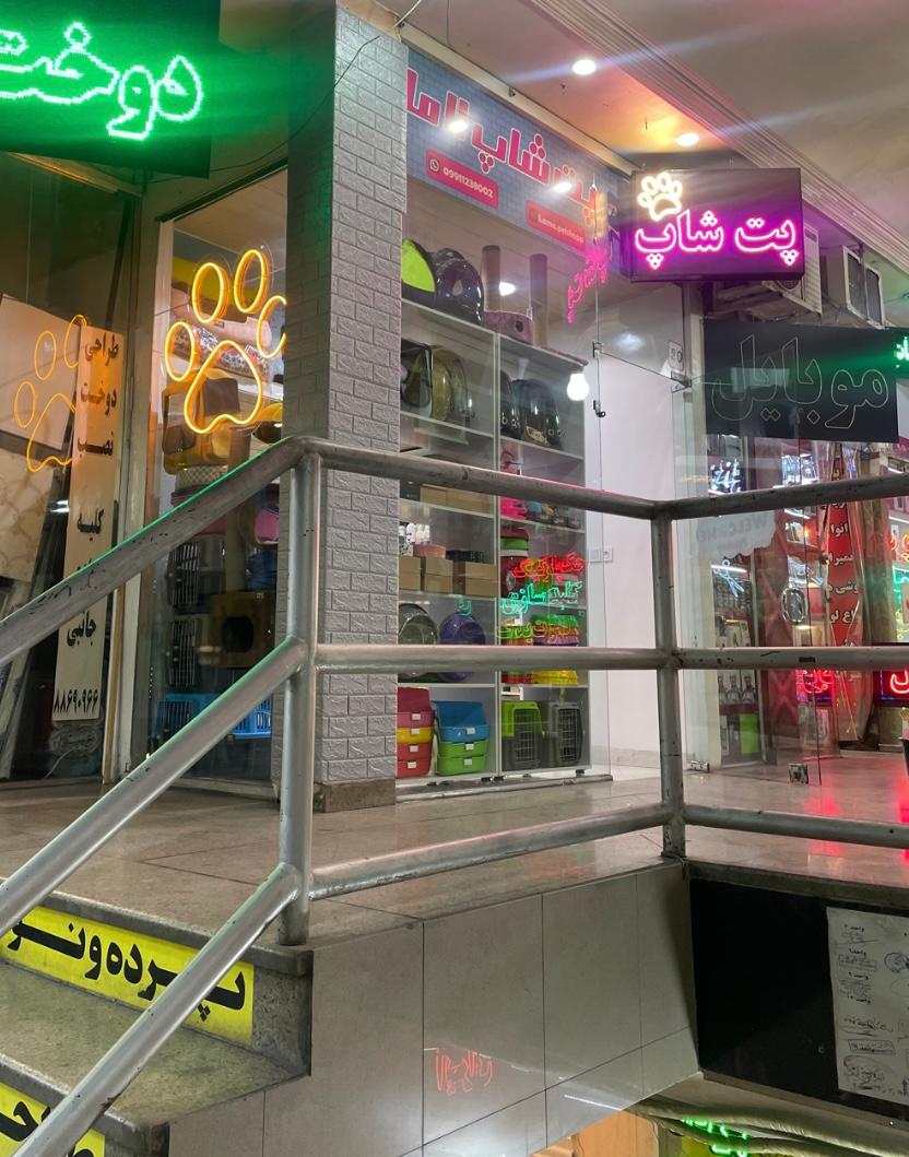 عکس پت شاپ لاما