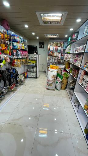 عکس پت شاپ لاما