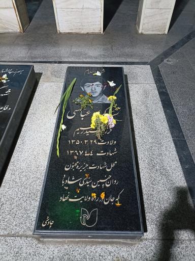 عکس گلزار شهدای گمنام سلماس