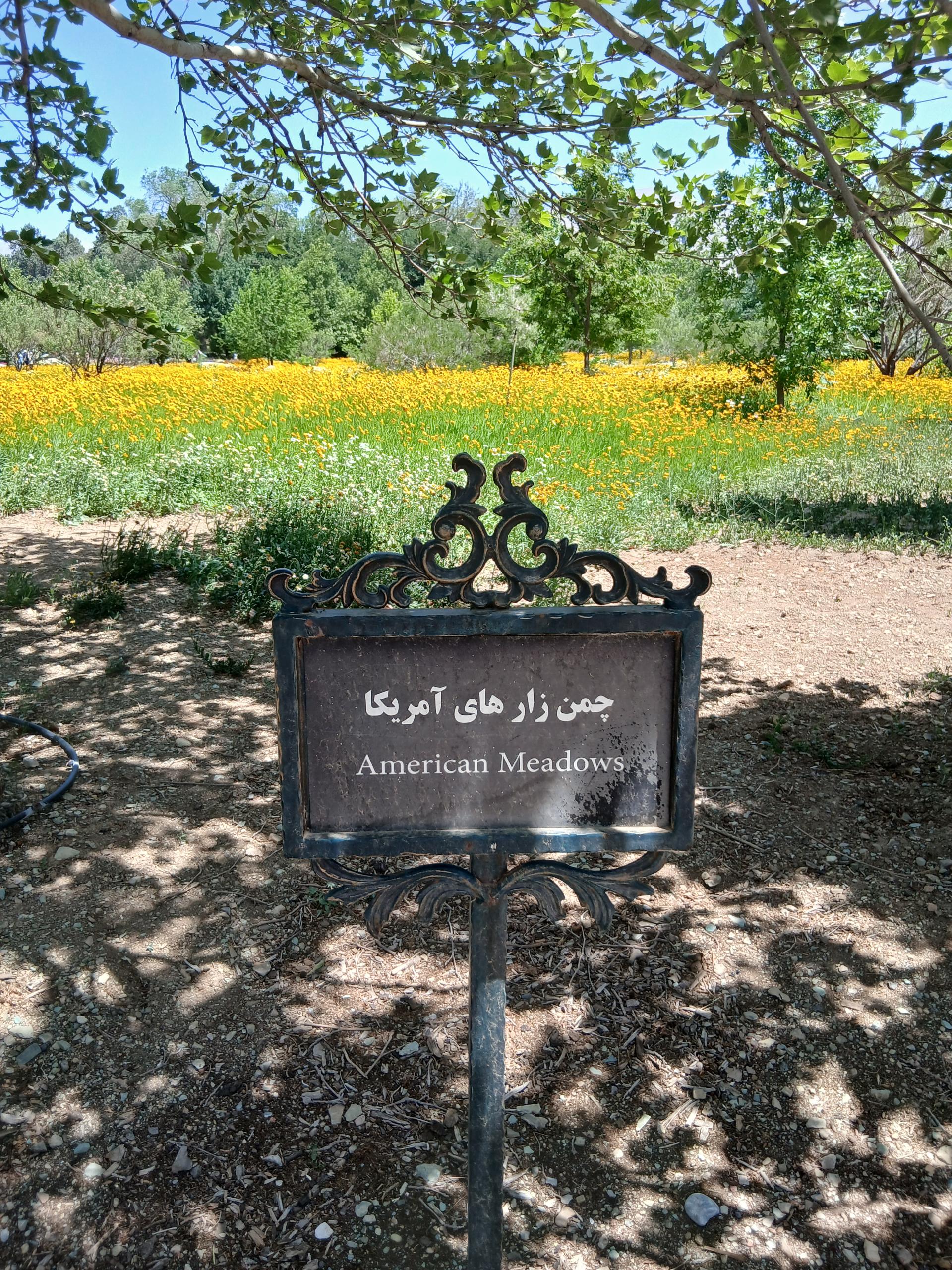 عکس چمن زارهای آمریکا