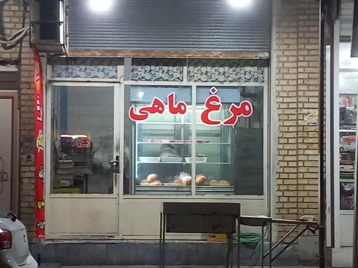 عکس مرغ ماهی بوقلمون بلدرچین 