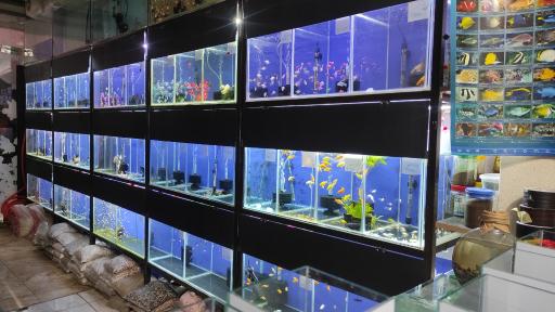 عکس شهر آکواریوم