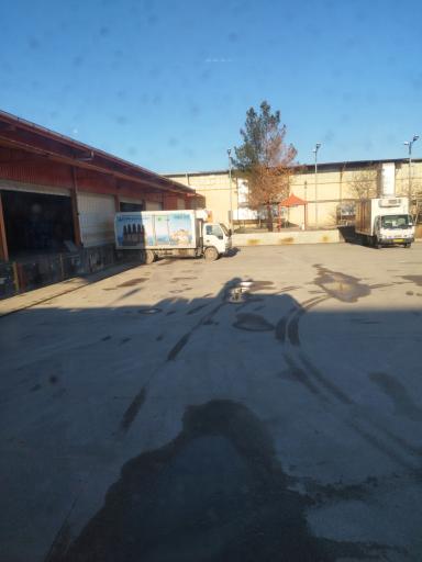 عکس شرکت  پخش سایه سمن