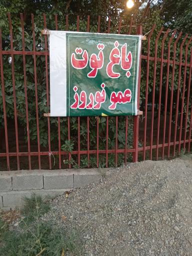 باغ توت عمو نوروز