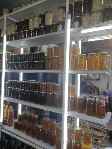 عکس زیتون سرای گیلانه 