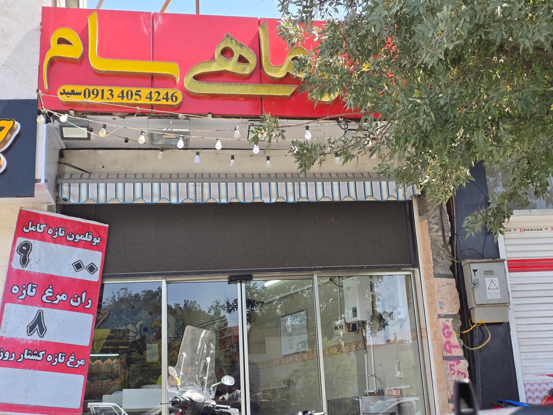 عکس مرغ و ماهی سام