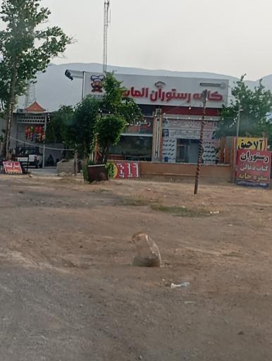 عکس کافه رستوران الماس