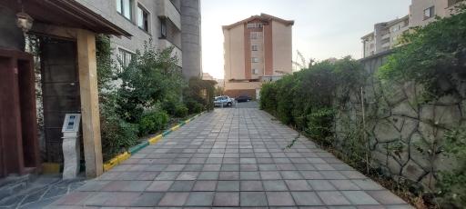 عکس مجتمع نیلوفر 1