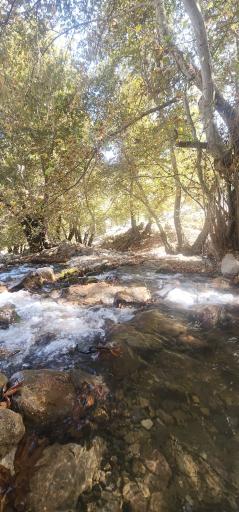 عکس آبشار شیوند