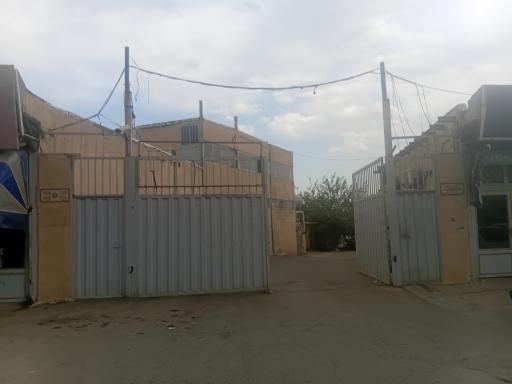 عکس پخش بزرگ آیسان