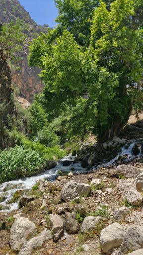عکس آبشار شیوند