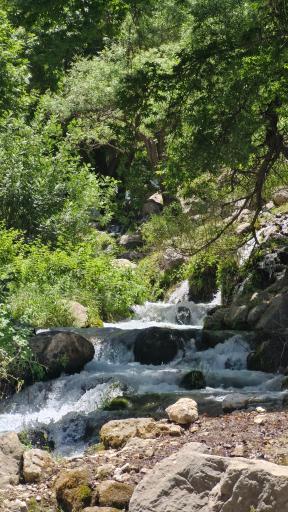 عکس آبشار شیوند