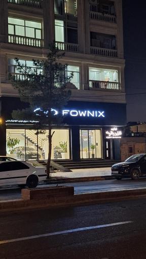 نمایندگی فونیکس آذرخشی