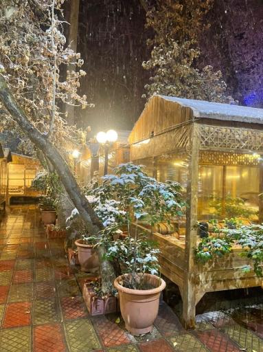 عکس رستوران میامی 