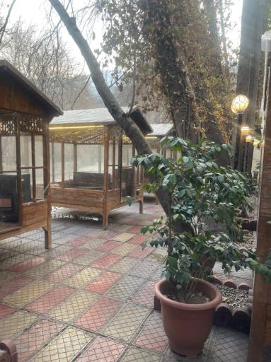 عکس رستوران میامی 