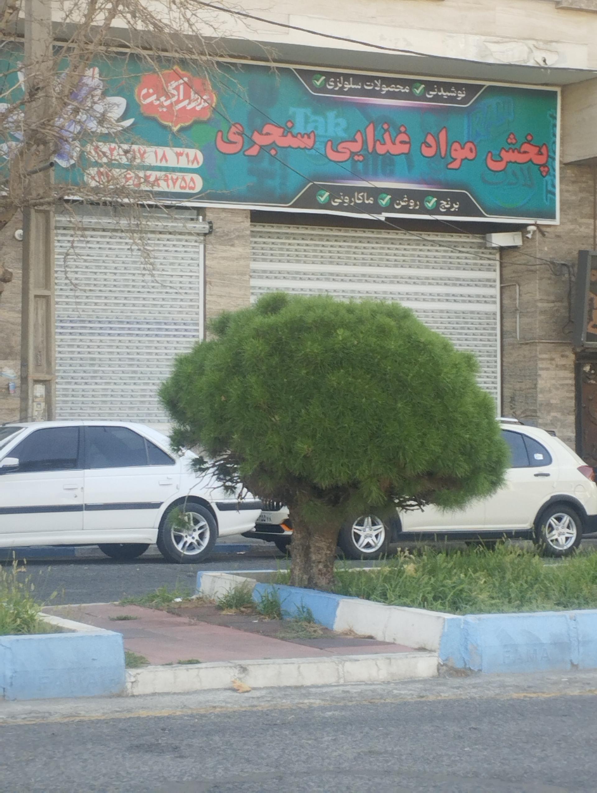 عکس پخش مواد غذایی سنجری