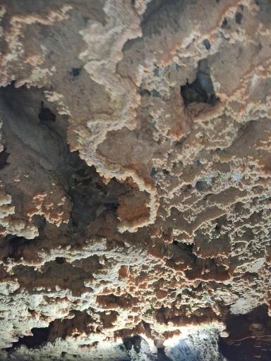 عکس غار علیصدر