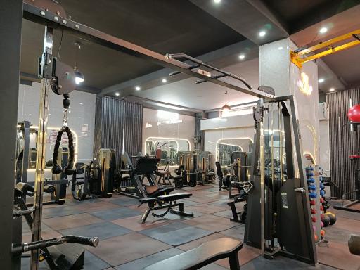 عکس باشگاه بدنسازی باربد 