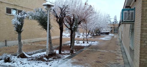 عکس دانشگاه شاهد