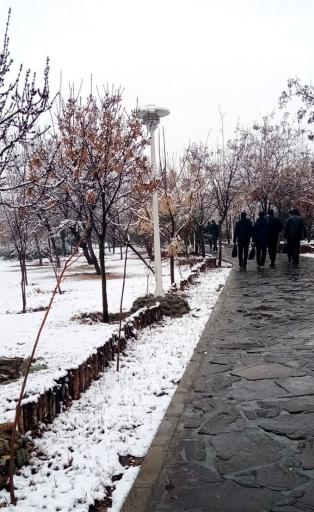 عکس دانشگاه شاهد