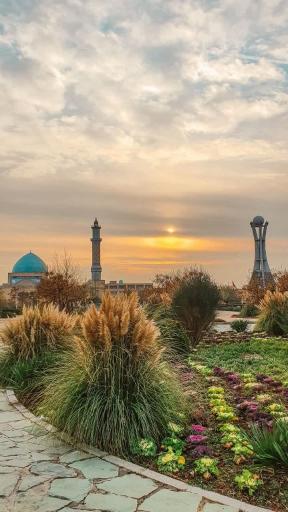 عکس دانشگاه شاهد