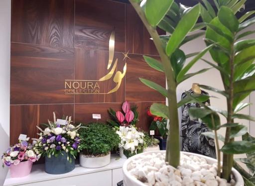 عکس فروشگاه لباس برند نورا