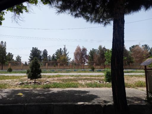 عکس فضای سبز