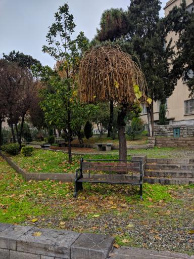 عکس دانشکده فنی دانشگاه تهران