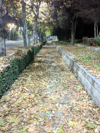 عکس دانشکده فنی دانشگاه تهران