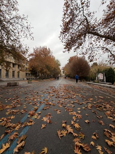 دانشکده فنی دانشگاه تهران