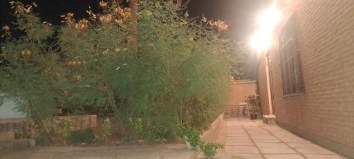 عکس کافه حوالی (سبزوار)