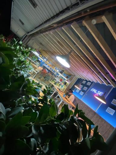 عکس کافه فالش