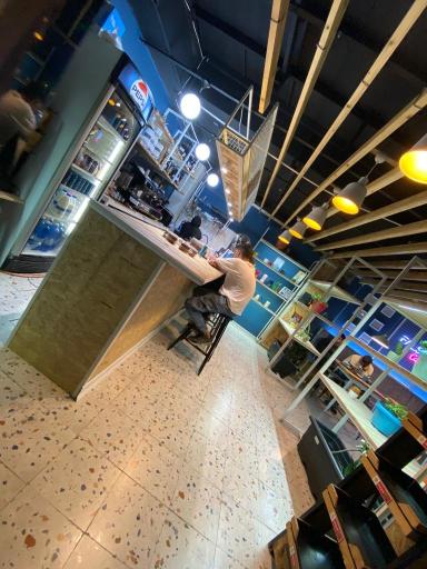 عکس کافه فالش