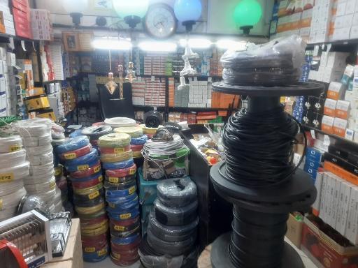 عکس الکتریکی میثم