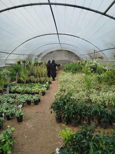 عکس باغچه امروز مادر