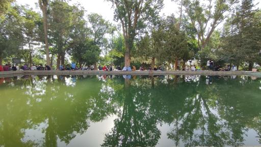 عکس گویزه کویر