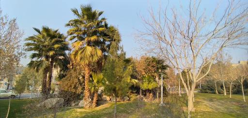 بوستان ایثار