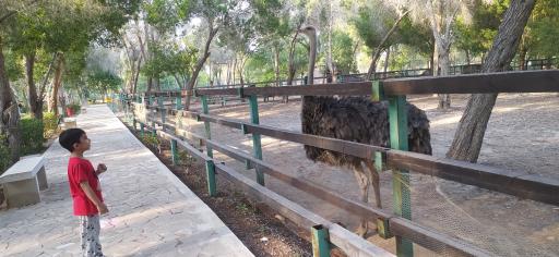 عکس باغ پرندگان بندر عباس