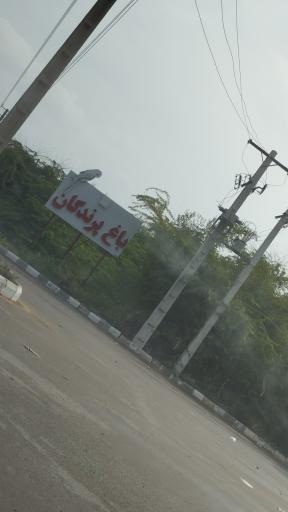 عکس باغ پرندگان بندر عباس