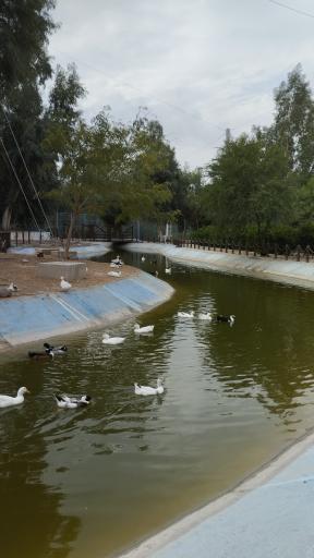 عکس باغ پرندگان بندر عباس