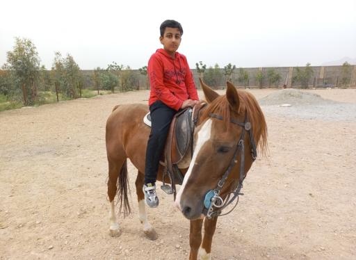 عکس مرکز پرورش اسب جنت