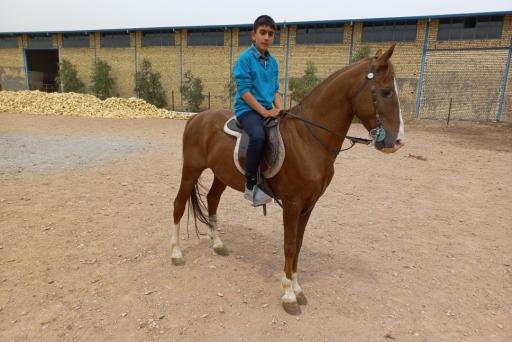 عکس مرکز پرورش اسب جنت