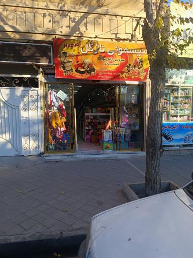 عکس سیسمونی نازگل