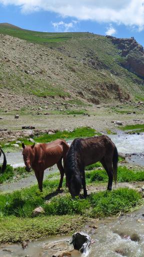 عکس آبگرم لیقوان