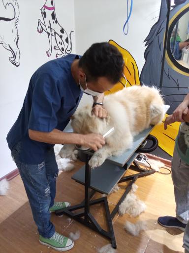 عکس خدمات درمانی حمایت امن کیا (پتوکیا)