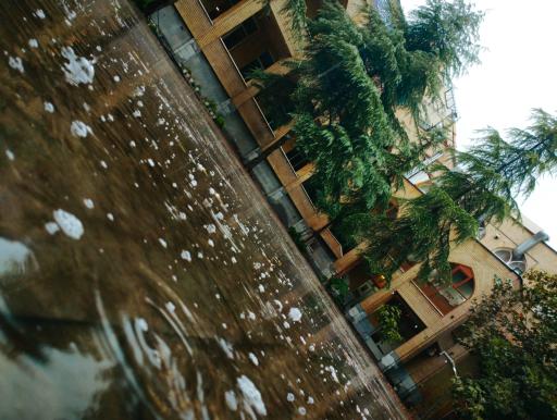 عکس حوزه علمیه قائم (عج) چیذر