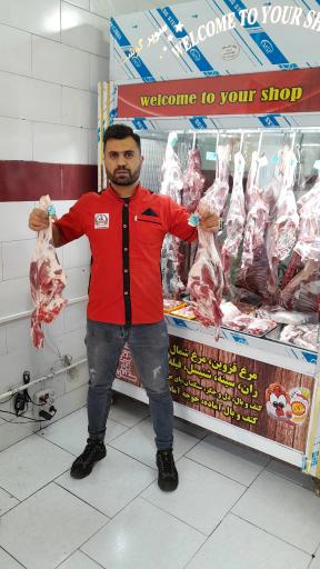 عکس پروتئینی سید