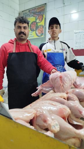 عکس پروتئینی سید