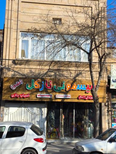 عکس سیسمونی نازگل